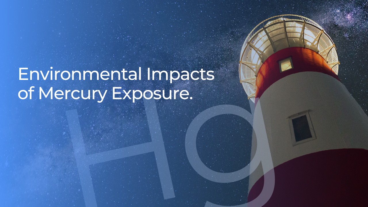 The environmental impacts of mercury exposure