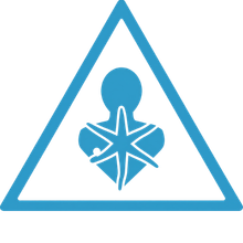 DSEAR icon